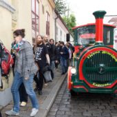  Sproing Pics (18/70)